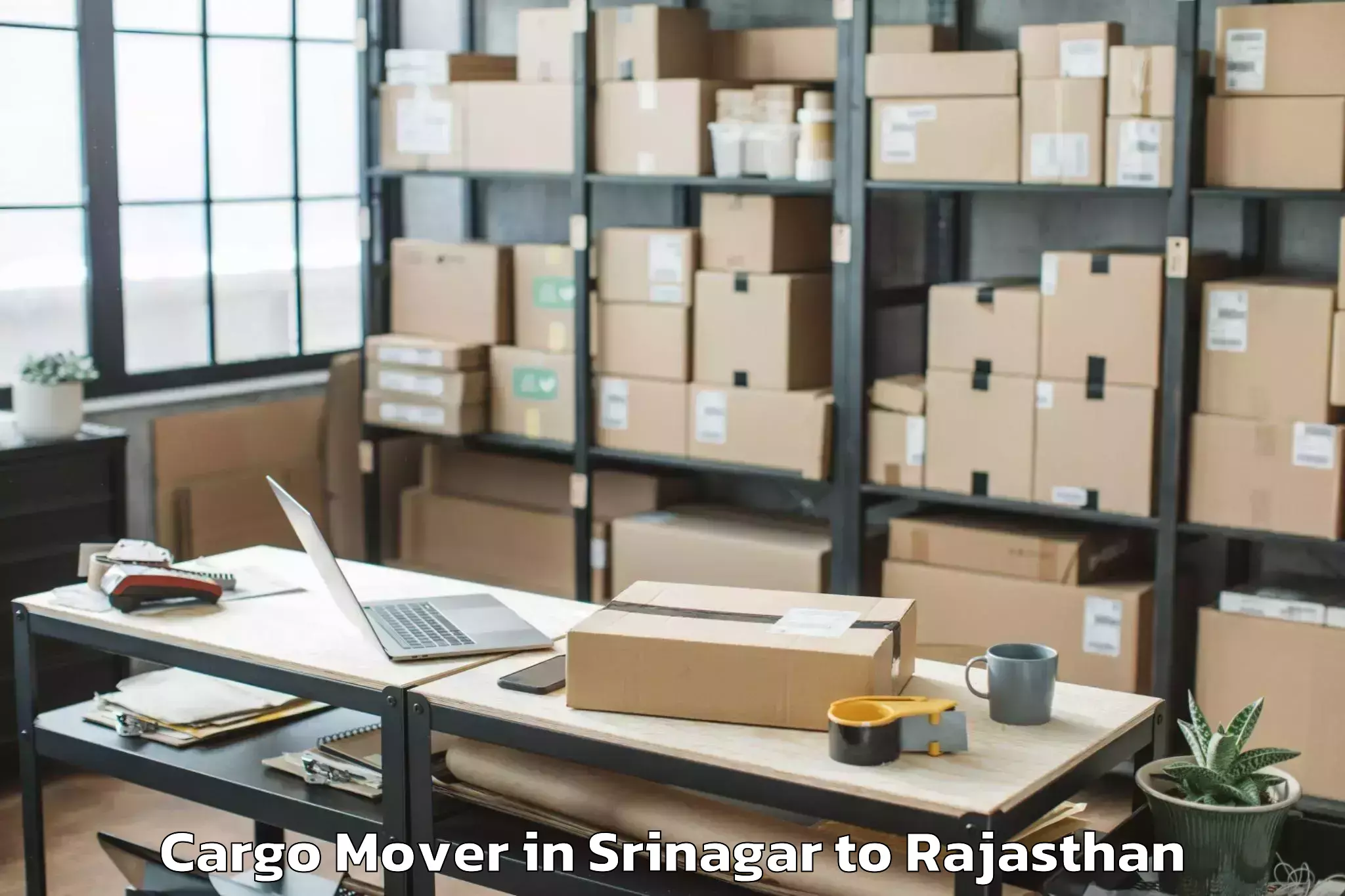 Expert Srinagar to Sangam University Bhilwara Cargo Mover